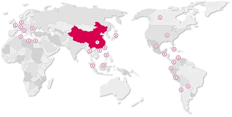 Trusted by Global Brands